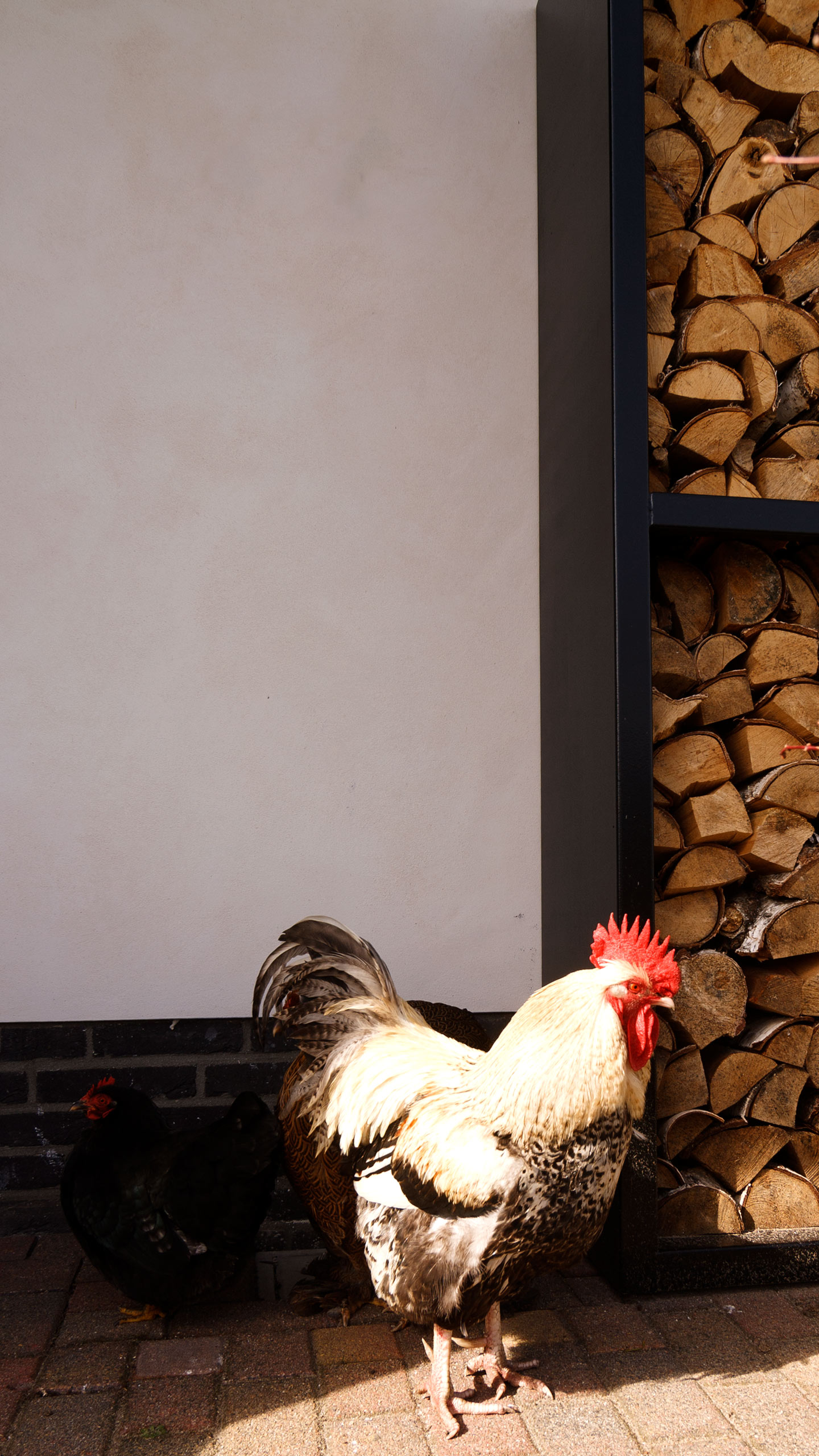 Residential - Facade Plaster in 1970´s Villa, Lime Plaster detail with Cock and Wood